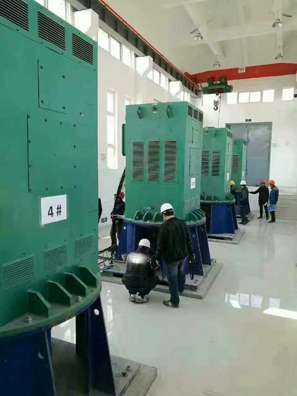 禹王台某污水处理厂使用我厂的立式高压电机安装现场