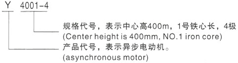西安泰富西玛Y系列(H355-1000)高压禹王台三相异步电机型号说明